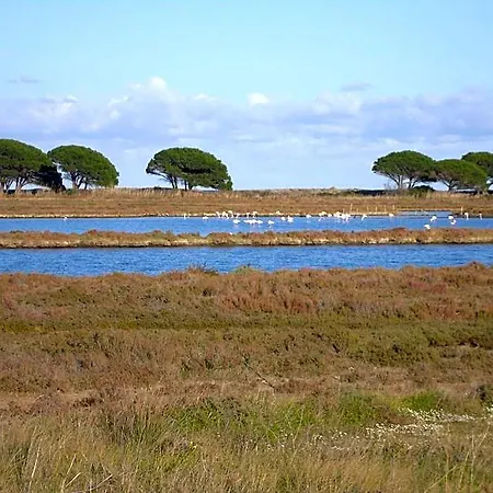 Frühstückspension La Collina Posada (Sardinia)